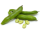 Tuinbonen