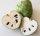 Cherimoya
