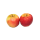 Appel Elstar 80-90 groot