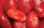 Tomaten gepeld (blik)